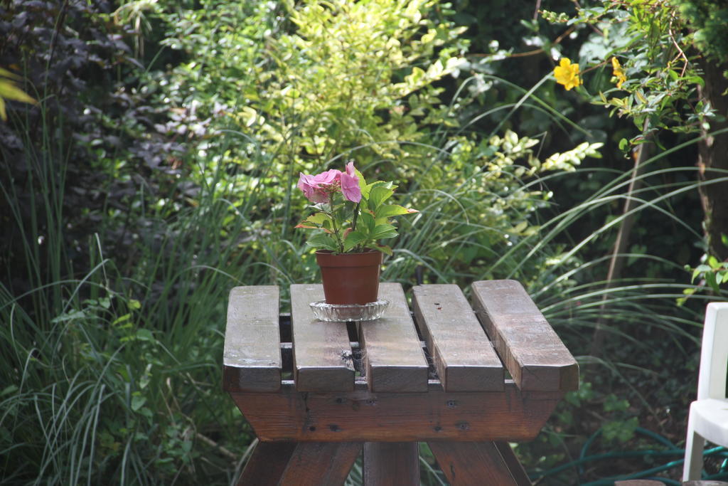 Couette-café Marguerite's Skibbereen