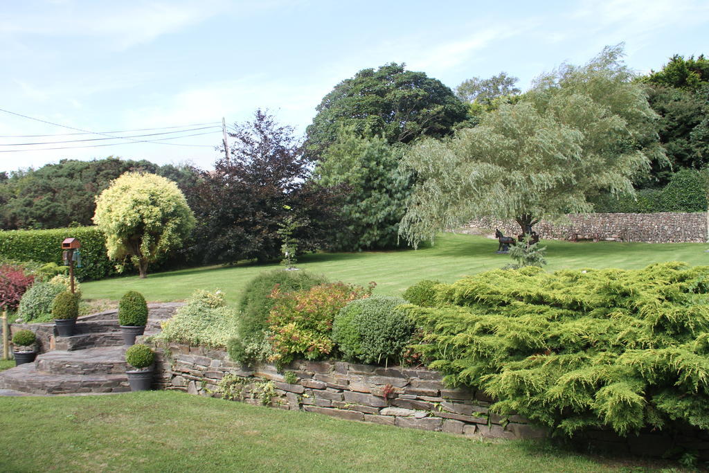 Marguerite's Skibbereen